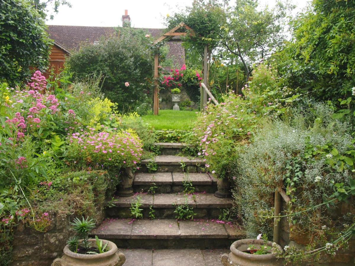 Clare Cottage Sherborne  Luaran gambar
